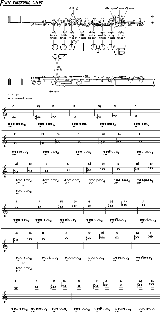 Percussion Bells Notes Chart
