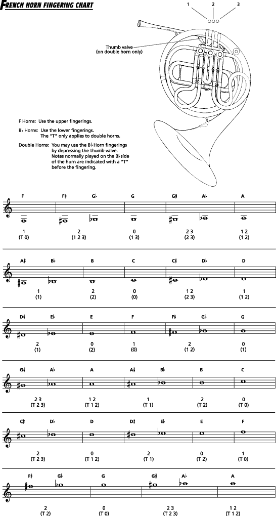 trumpet b flat major scale finger chart